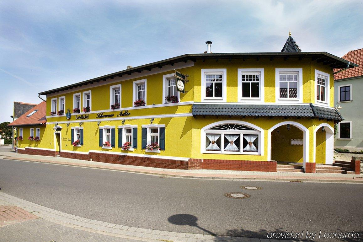 Landhotel Schwarzer Adler Suelzetal Екстериор снимка