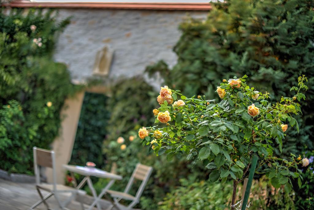 Landhotel Schwarzer Adler Suelzetal Екстериор снимка