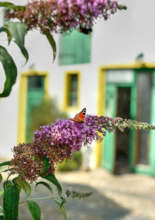 Landhotel Schwarzer Adler Suelzetal Екстериор снимка